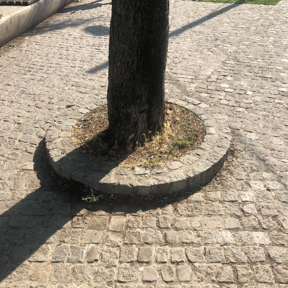 Окантовка дерева колотым гранитом