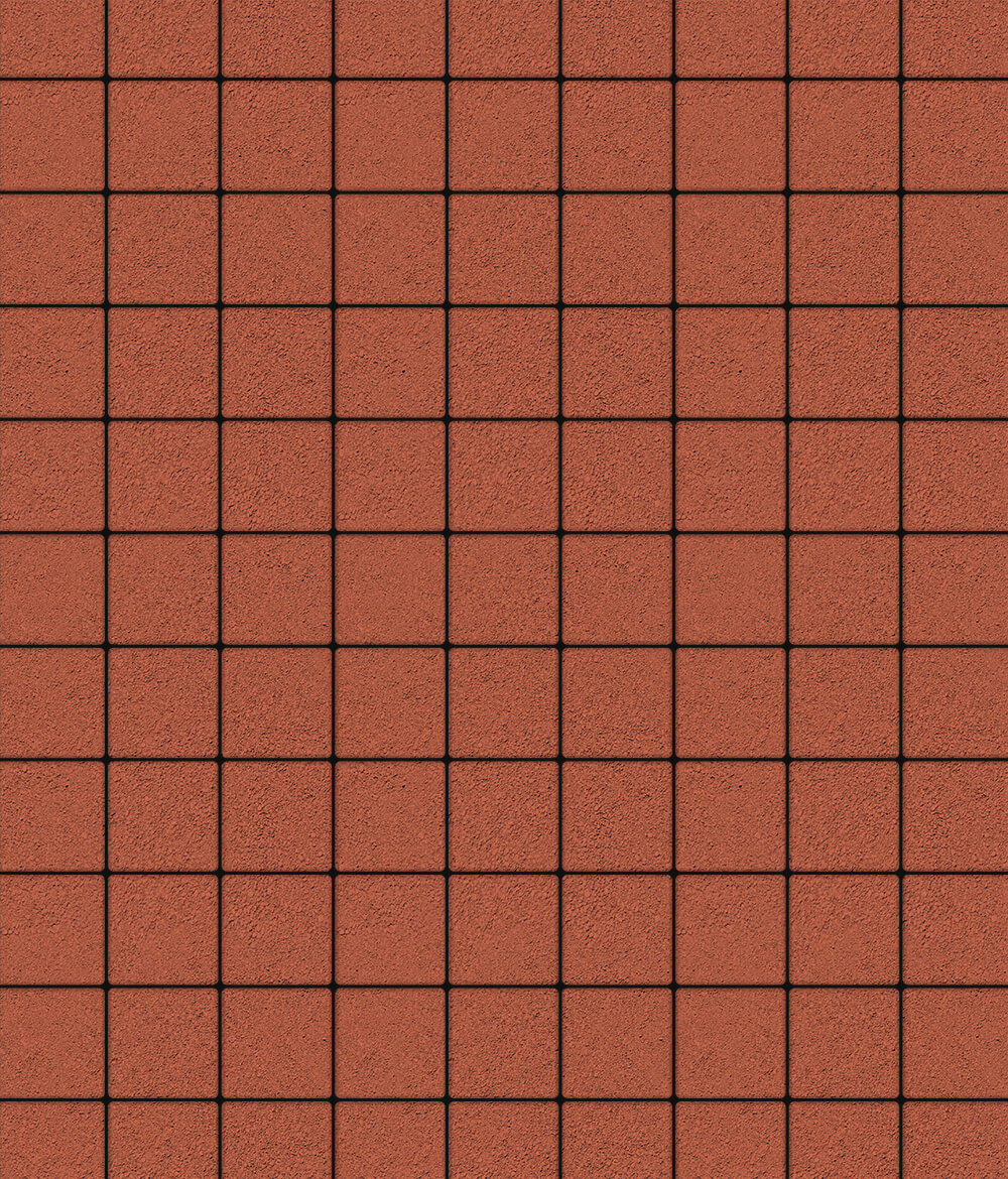 Тротуарная плитка Ла-Линия 100  ✕ 200 Стандарт Красный 60
