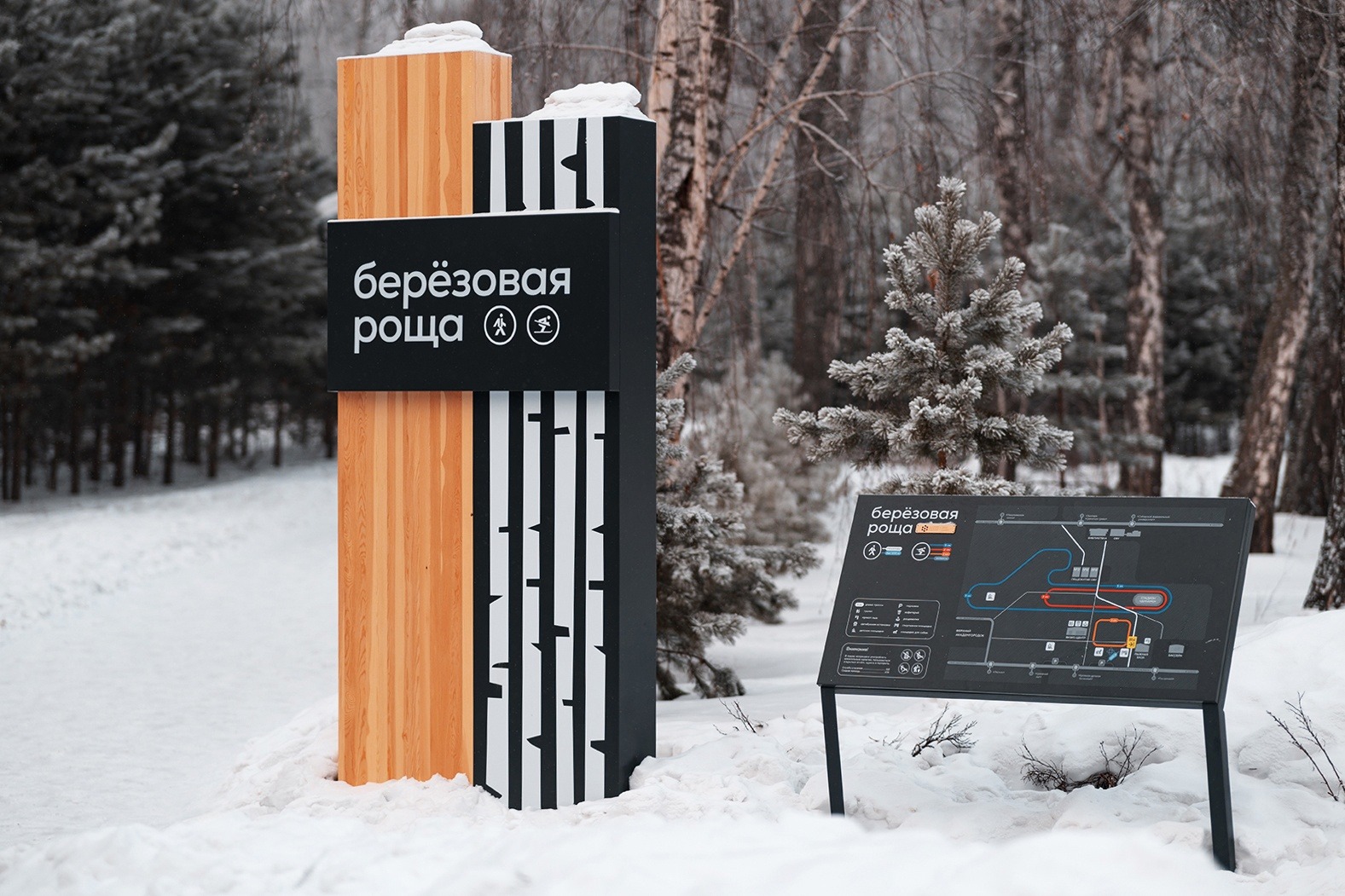 Входная группа, Берёзовая роща, г. Красноярск