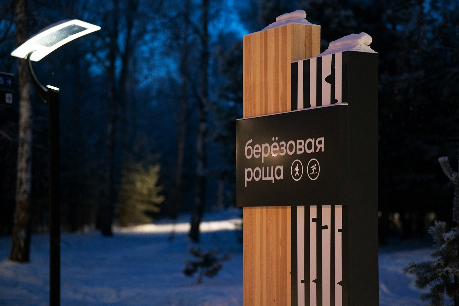 Входная группа 2, Берёзовая роща г. Красноярск