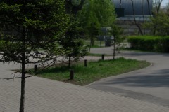 Сквер напротив домов № 1 и № 9 по ул. Шахтерская, г. Иркутск, 2021 г.